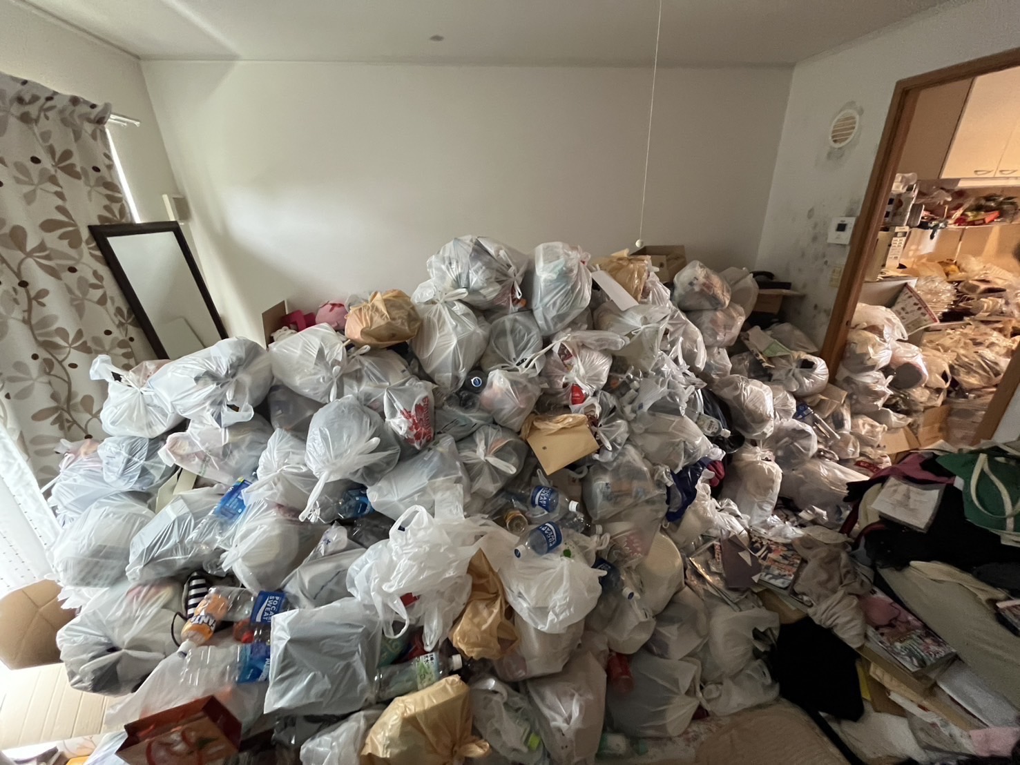 ゴミ屋敷ビフォー 