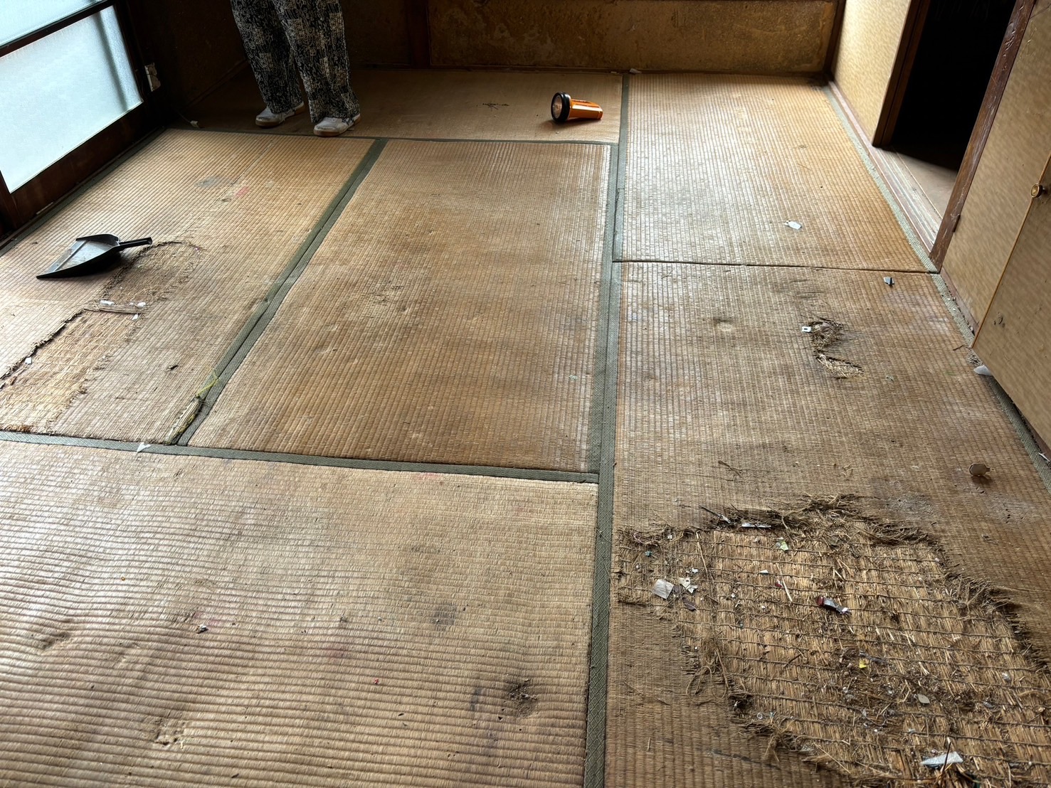 ゴミ屋敷片付け後