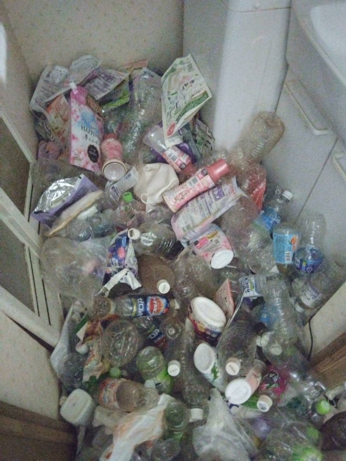 ゴミ屋敷