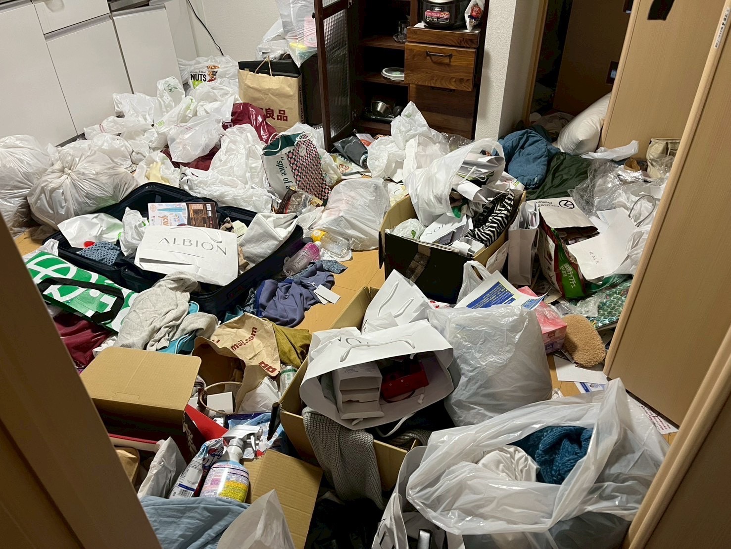 ゴミ屋敷片付け前
