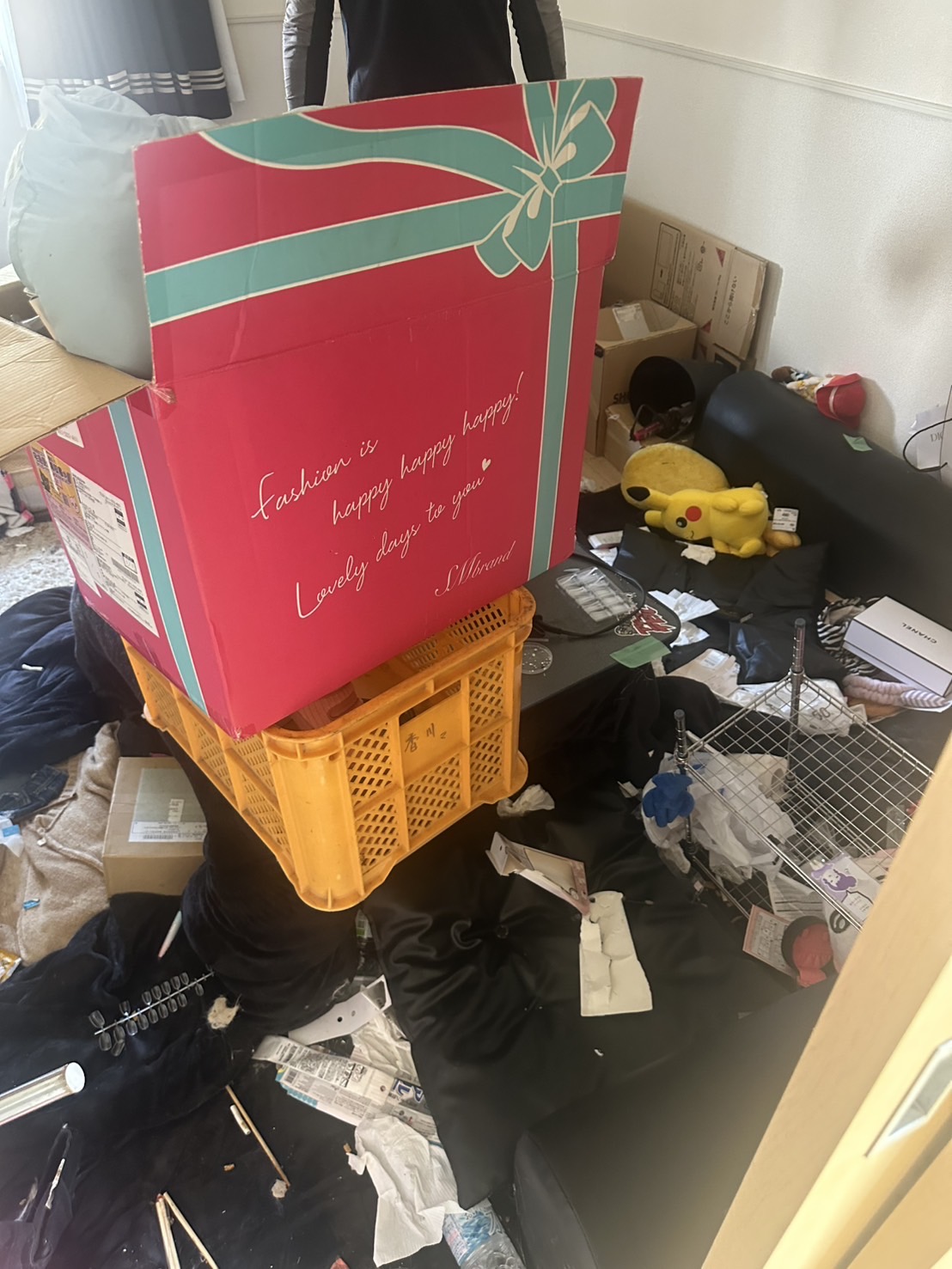 ゴミ屋敷実例